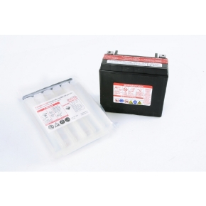 Yuasa Batterie VRLA sans entretien