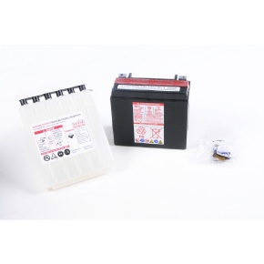 Yuasa Batterie Haute Performance MF sans entretien