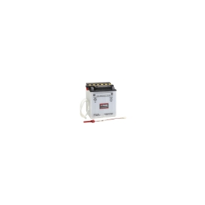 Yuasa Batterie YuMicron